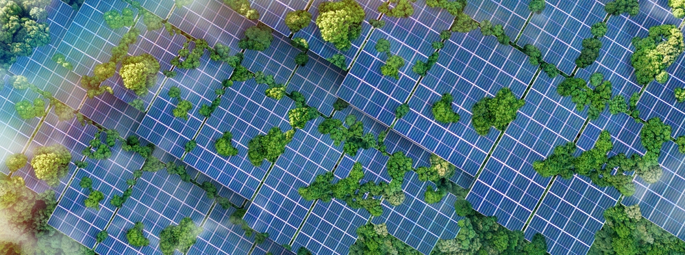 solar,panels,installed,in,the,green,forest,clean,alternative,energy