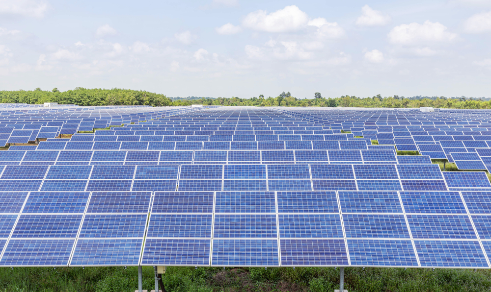 many,rows,array,of,poly,crystalline,silicon,solar,cells,or